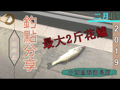 #4 夜水釣花鱸『香港釣魚 : 岸釣』釣點分享 中西區海濱長廊