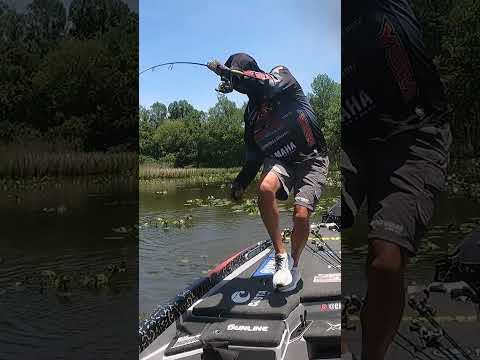 &quot;That is a GIANT!!&quot; – 9 LB. BASS!!! (Bassmaster Elite Lay Lake)