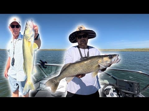 Late Summer Walleyes on Lake Oahe