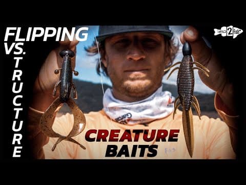 Creature Baits for Bass: Flipping and Pitching vs. Structure Fishing