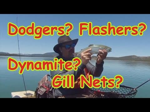 Flashers Or Dodgers: Which Are Best For Trout &amp; Salmon?