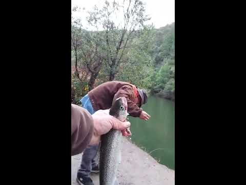 How to Catch Trout and Steelhead on a BROKEN Fishing Pole