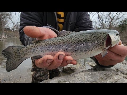 Guadalupe River Canyon Lake, Tx Trout Fishing Trip