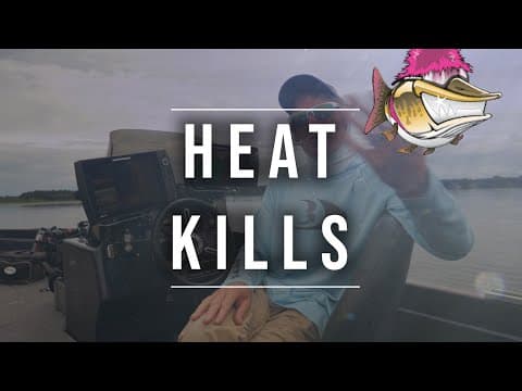 Heat Kills! What not to do when targeting mid summer muskies