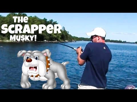 Scrapper Musky!