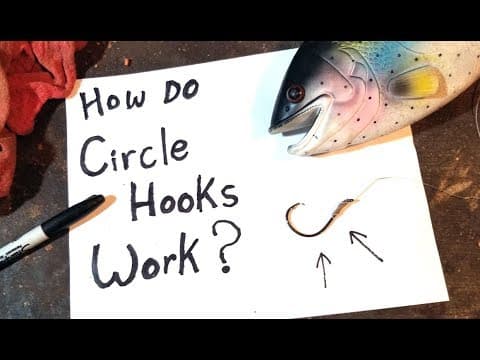 CIRCLE HOOK BASICS: How they work, how to use, how to get them out.