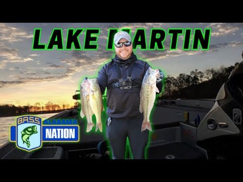 Catching them SHALLOW on Lake Martin