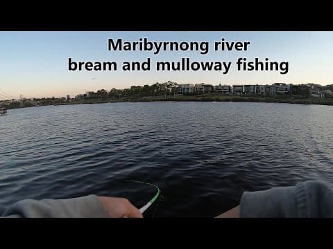 Lure fishing for Bream and Mulloway | Maribyrnong river BIG BREAM #bream #mulloway #lures #landbased