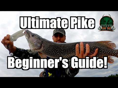 Beginner&#39;s Guide to Pike Fishing Success | How to Locate Fish | Top 3 Lures &amp; Basic Rigs