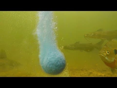 Fish Bait or Fisherman Bait? Bait Cloud Review - bass, bluegill, carp, catfish bait