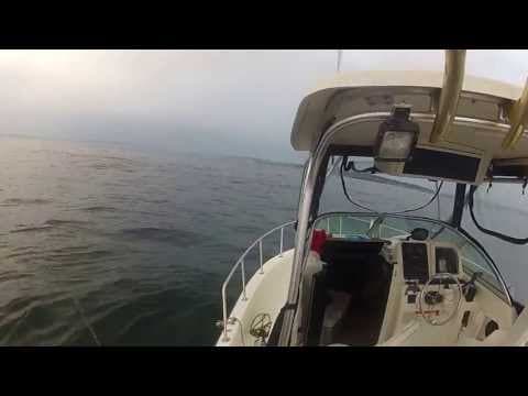 Brenton Reef Newport Fishing