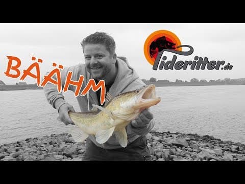 Zanderangeln Elbe (Buhne) ✔ Livebiss 81cm Zander + Tipps &amp; Tricks ➥ tideritter de