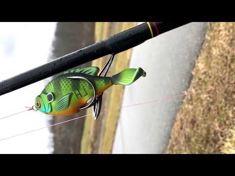 LUNKERHUNT PROP FISH TEST + REVIEW (JCAE Fishing)