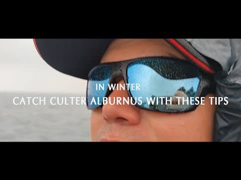 Catch Culter Alburnus in Winter with these Tips丨实战分享、翘嘴的冬季模式，深水结构 丨Lureleader