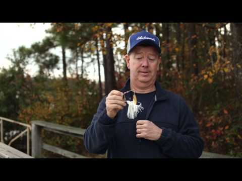 Fishing 101 - When to Use a Spinnerbait