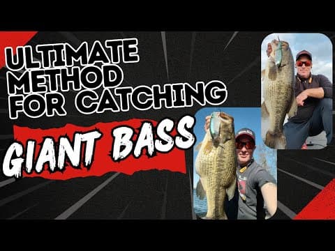 Possibly the best swimbait ever made. My secret method revealed.