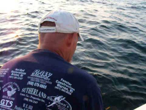 Brenton reef Top Water