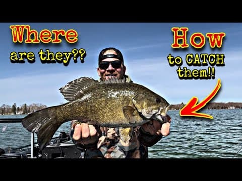 HOW to Catch Smallmouth Bass and WHERE to Find Them on Big and Small Lakes