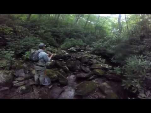 Mountain Stream Brook Trout (A Babbling Brook)