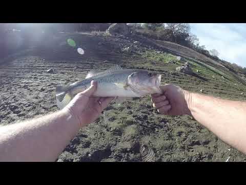 Guadalupe Reservoir Bass fishing