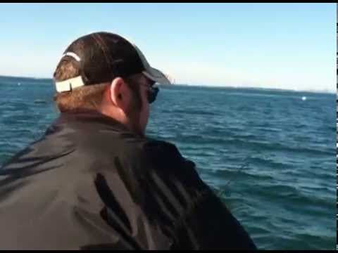 Striper Fishing with CJ&#39;s Charters Beverly MA