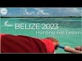 Belize 2023 | Hunting For Tarpon