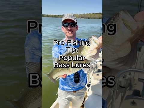 3 Best Bass Lures to help you catch bass anywhere #bassfishing #fishing #bassbaits