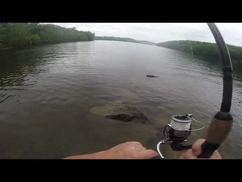 Fishing at west branch reservoirs