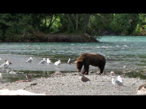 Fly Fishing Alaska 2008