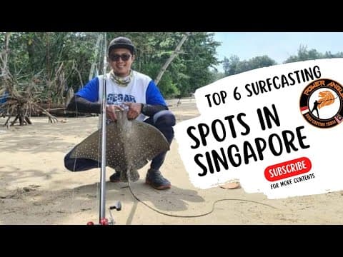 Top 6 Surfcasting Spots in Singapore