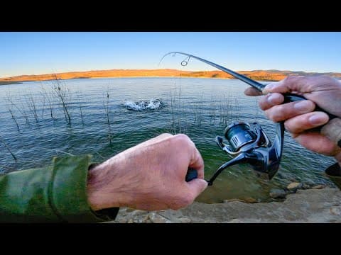 INSANE Topwater Striper Fishing from Shore at Castaic Lake !