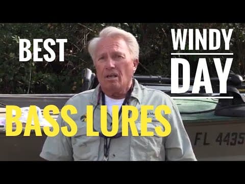 Best Bass lures for a windy day
