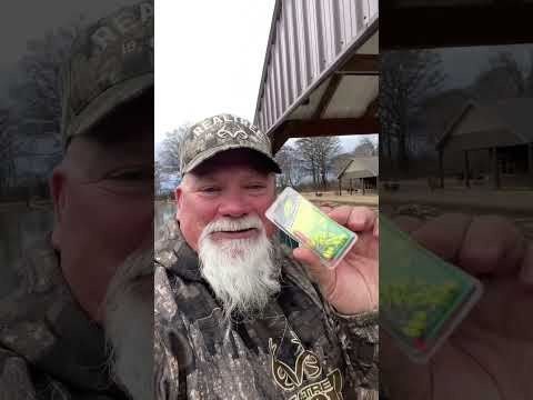 Best bank fishin bait!!!                     #fishing #bream #crappie #pondfishing #bankfishing