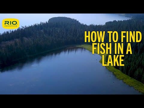 How To Find Fish In A Lake