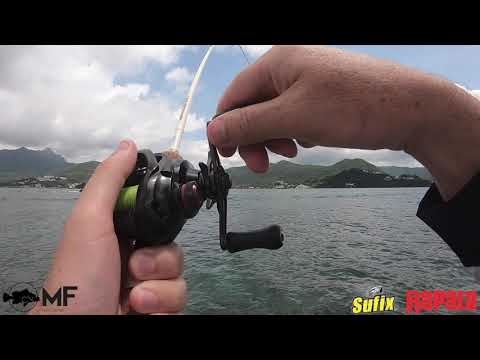 Redfish on a Hong Kong Island