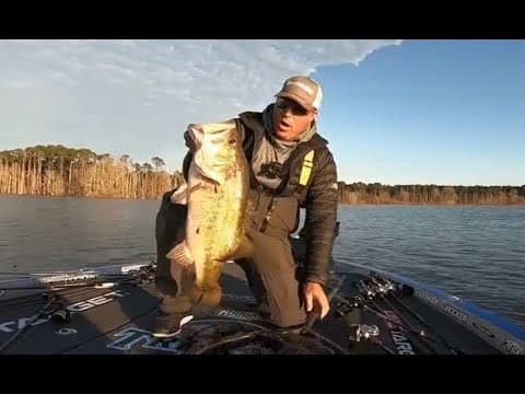 TOP 5 BIGGEST BASS CAUGHT IN TOURNAMENTS! (compilation)