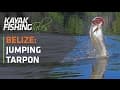 Kayak Fish for Tarpon in Belize | Jumping Tarpon