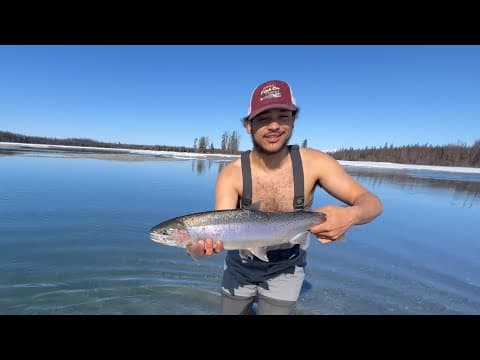 Spring Fly Fishing For Huge Steelhead |Kenai River|