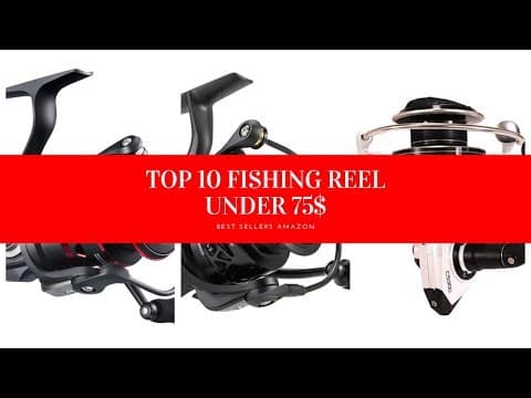 ✔️ TOP 10 BEST FISHING REEL UNDER 75 🛒 Amazon 2019