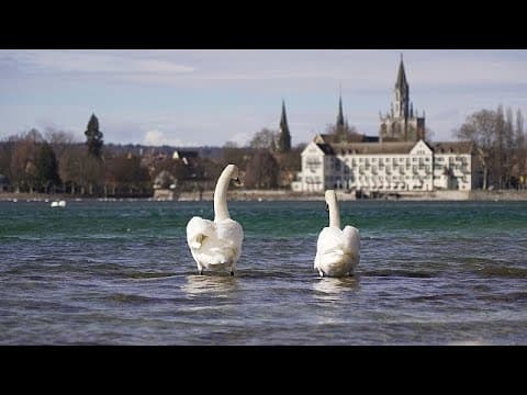 It's now too late: How invasive species have altered Lake Constance