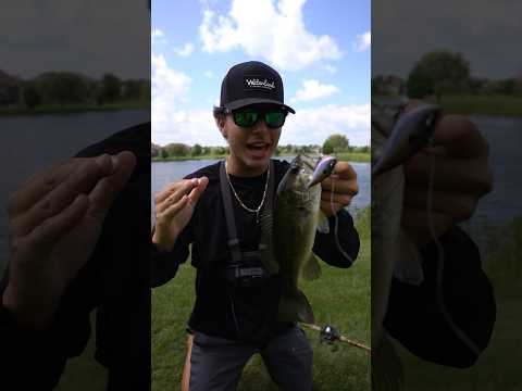 The BEST Fishing Rod for CRANKBAITS!