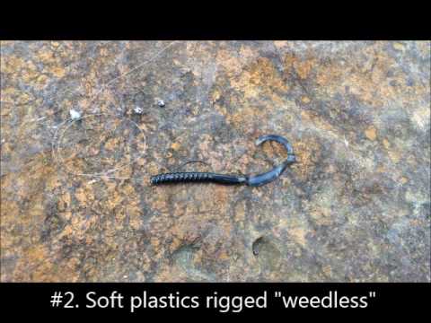 Fishing Techniques: Learn how to fish in the weeds