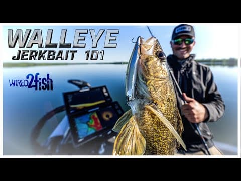 How to Fish a Jerkbait for Walleyes