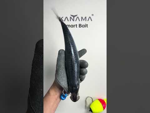 🎣 Kanama Smart Bait - Revive dead bait fish and catch big fish easily #kanama #釣り #fishing  #angler