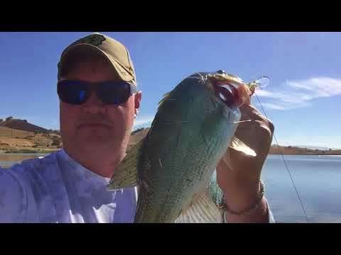 Fishing Calero Reservoir