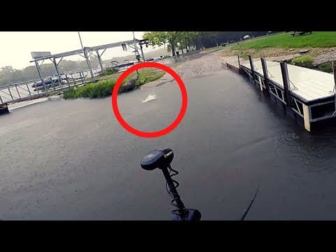 Do BASS Hit TOPWATERS After THUNDERSTORMS???