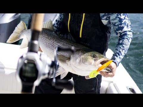 Trolling Deep Diving Plugs for Striped Bass