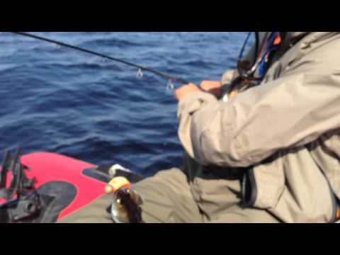 Raymarine Dragonfly vertical spinnig for pike pearch Westin twin teez