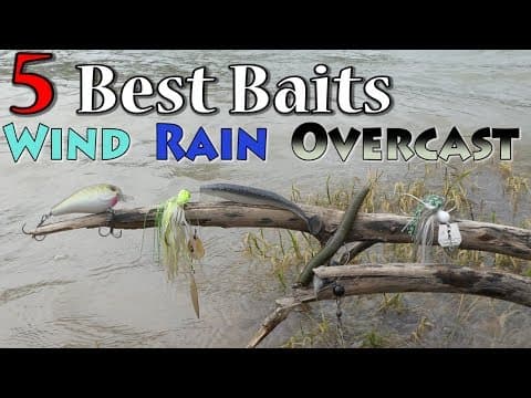 Top 5 Baits for Fishing Wind Rain and Overcast Conditions