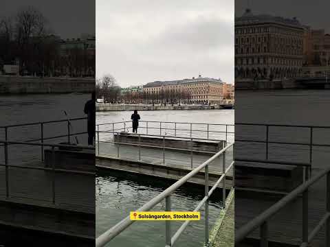 Fishing in Stockholm City Center